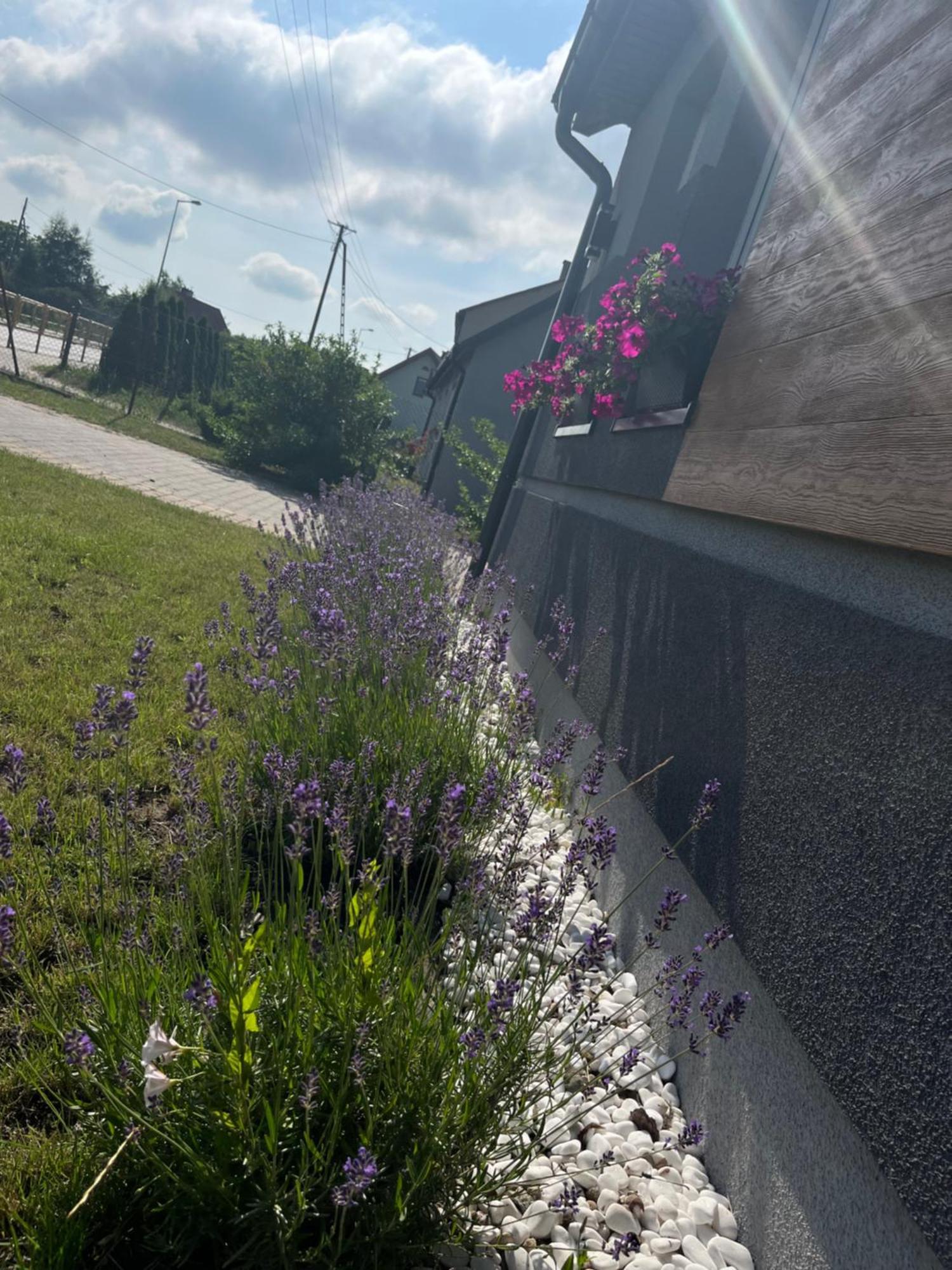 Apartament Numer 1, Dwie Sypialnie Dwa Lozka Orzysz Exterior foto